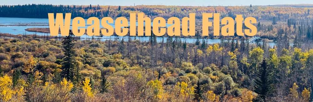 Urban environment, trail, bike, hike, fall, urban explorer,