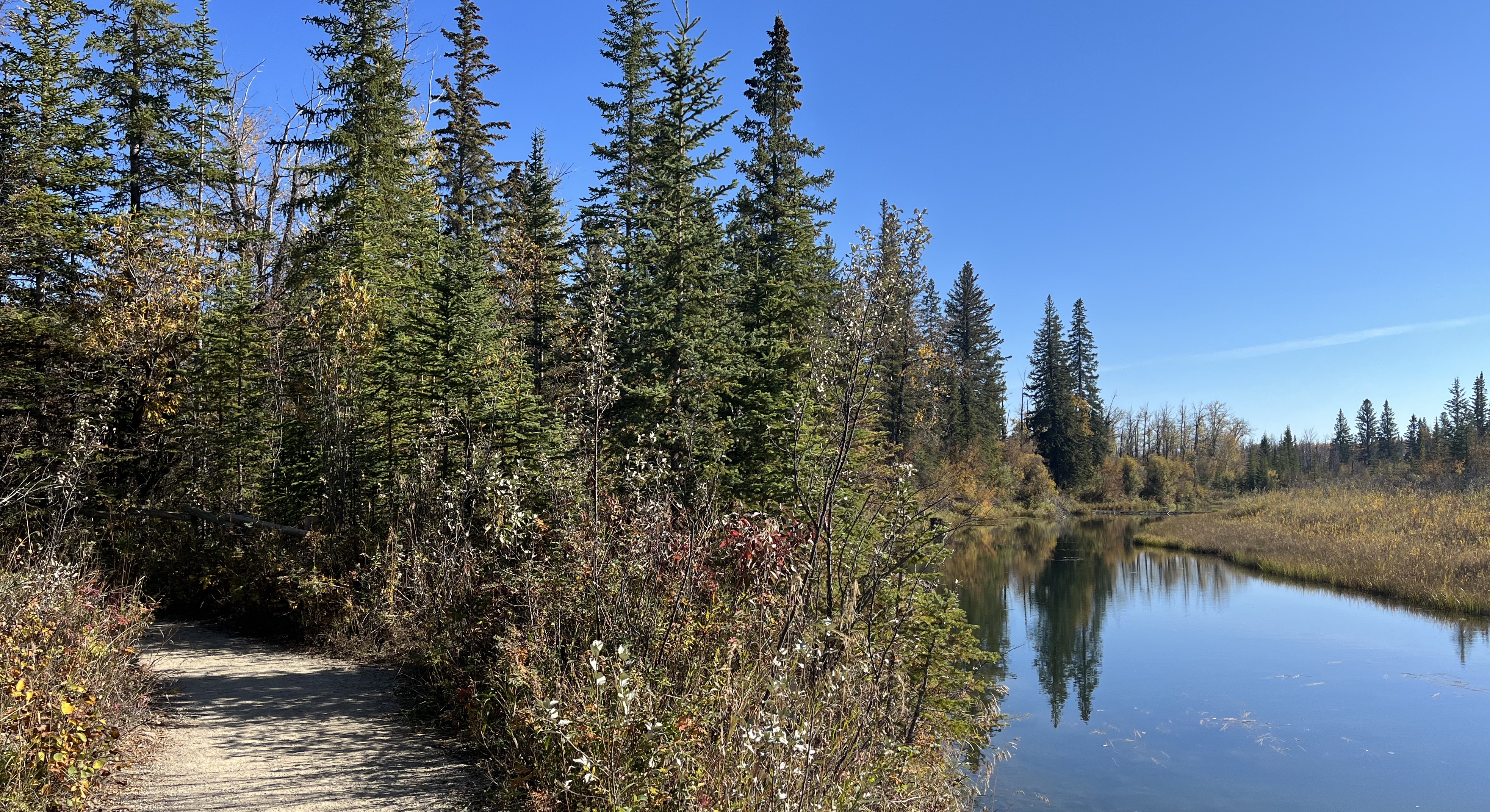 Calgary, exploring, walk, bike