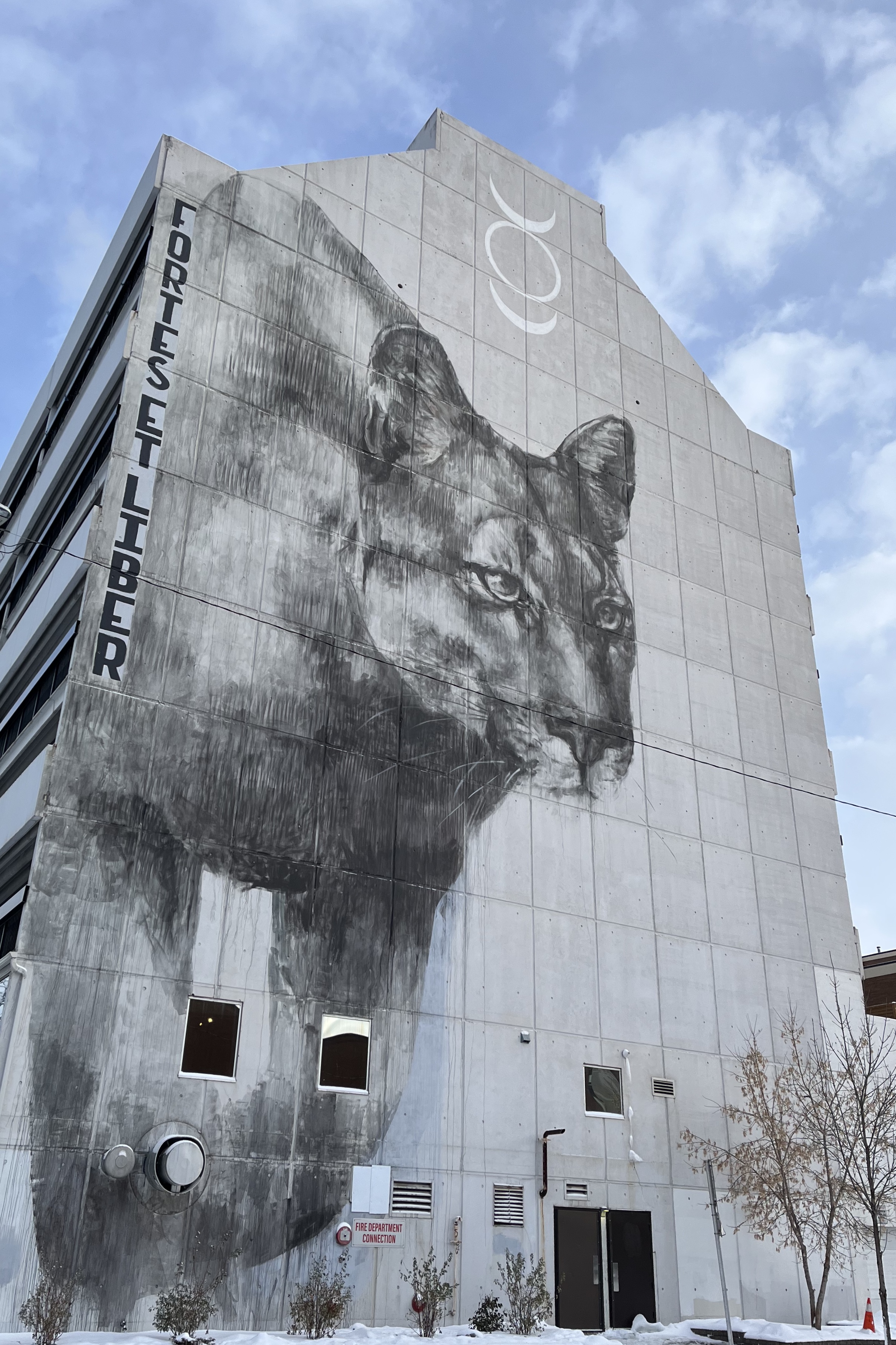 Urban, art, mural, urban explorer, artistic cityscape