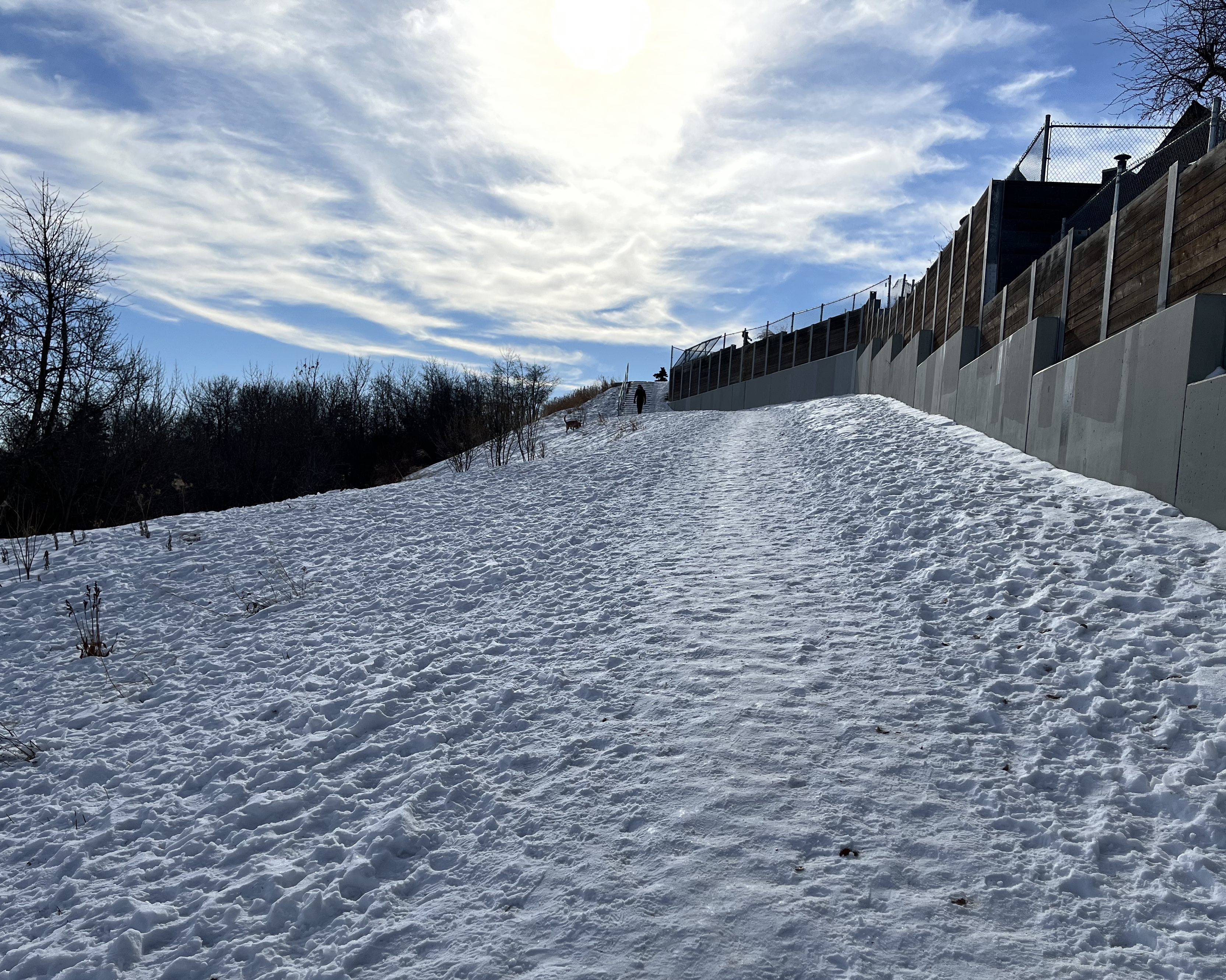 urban hiking, Evamy Ridge, green space