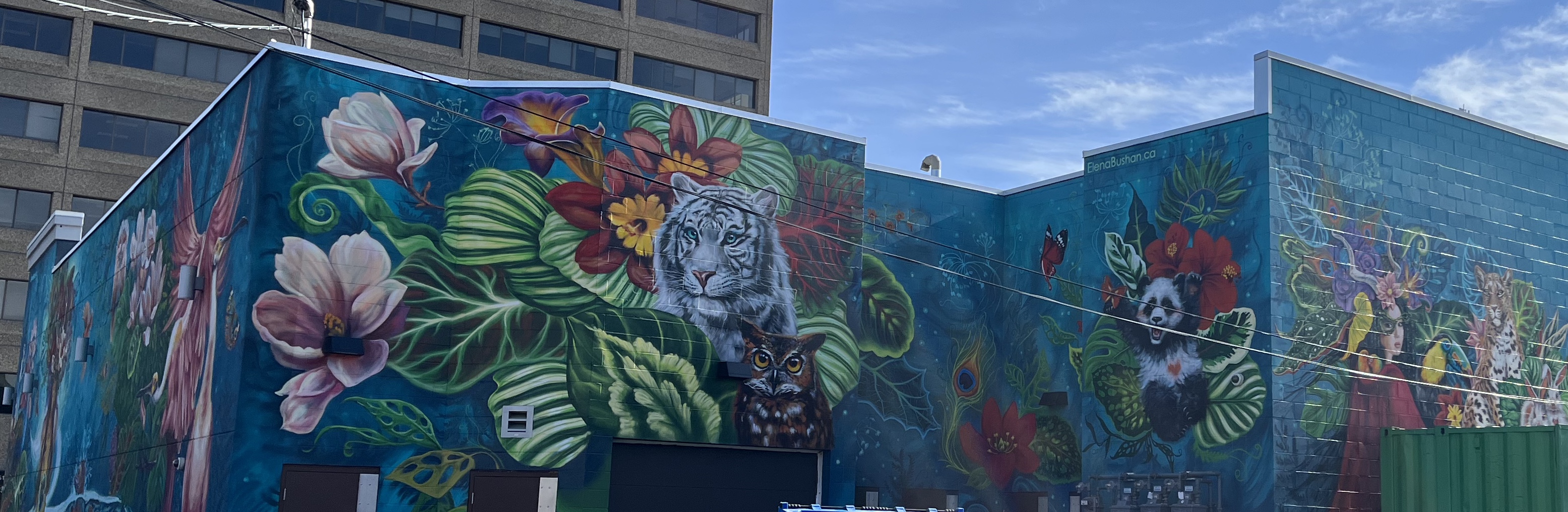 urban art, YYC Bump, explorer, urban hike, walk