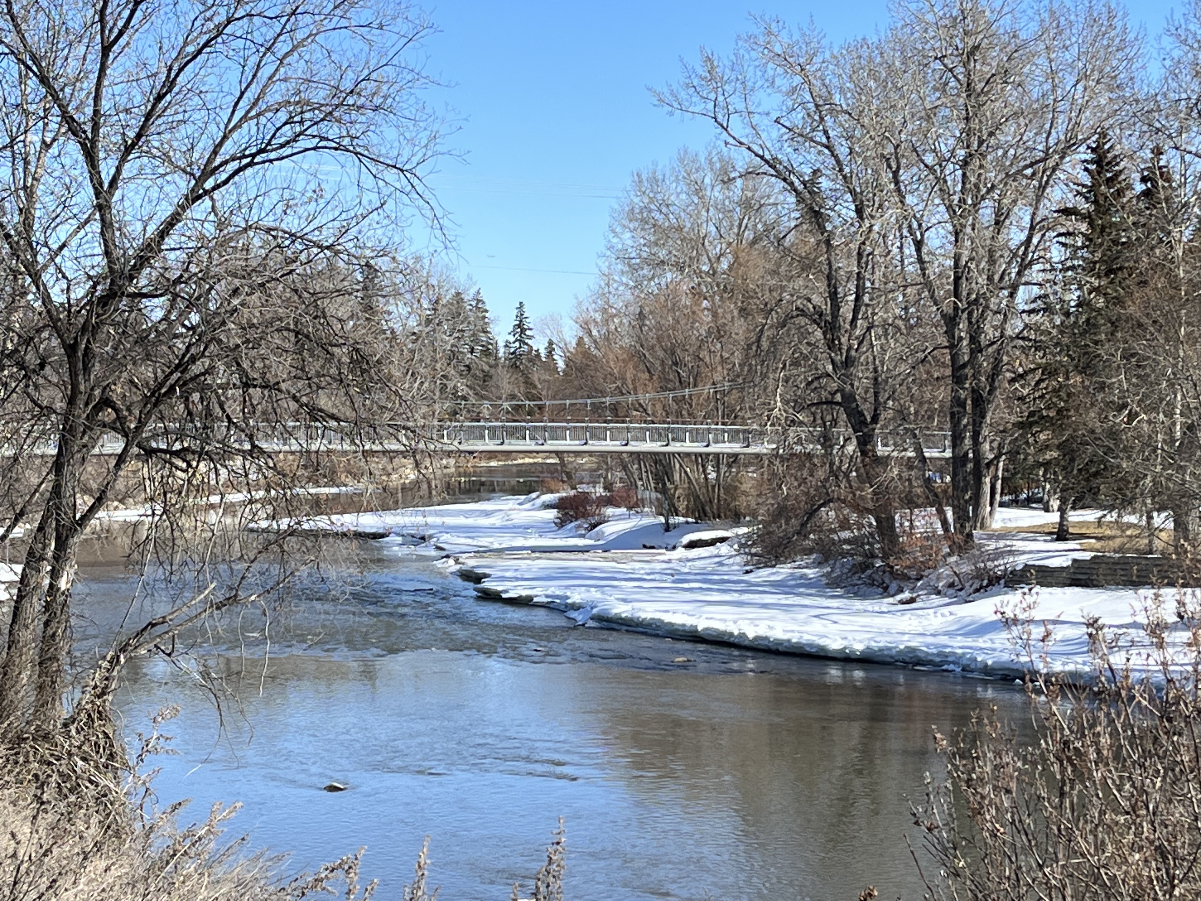 Urban hiking, explore, dog, walk