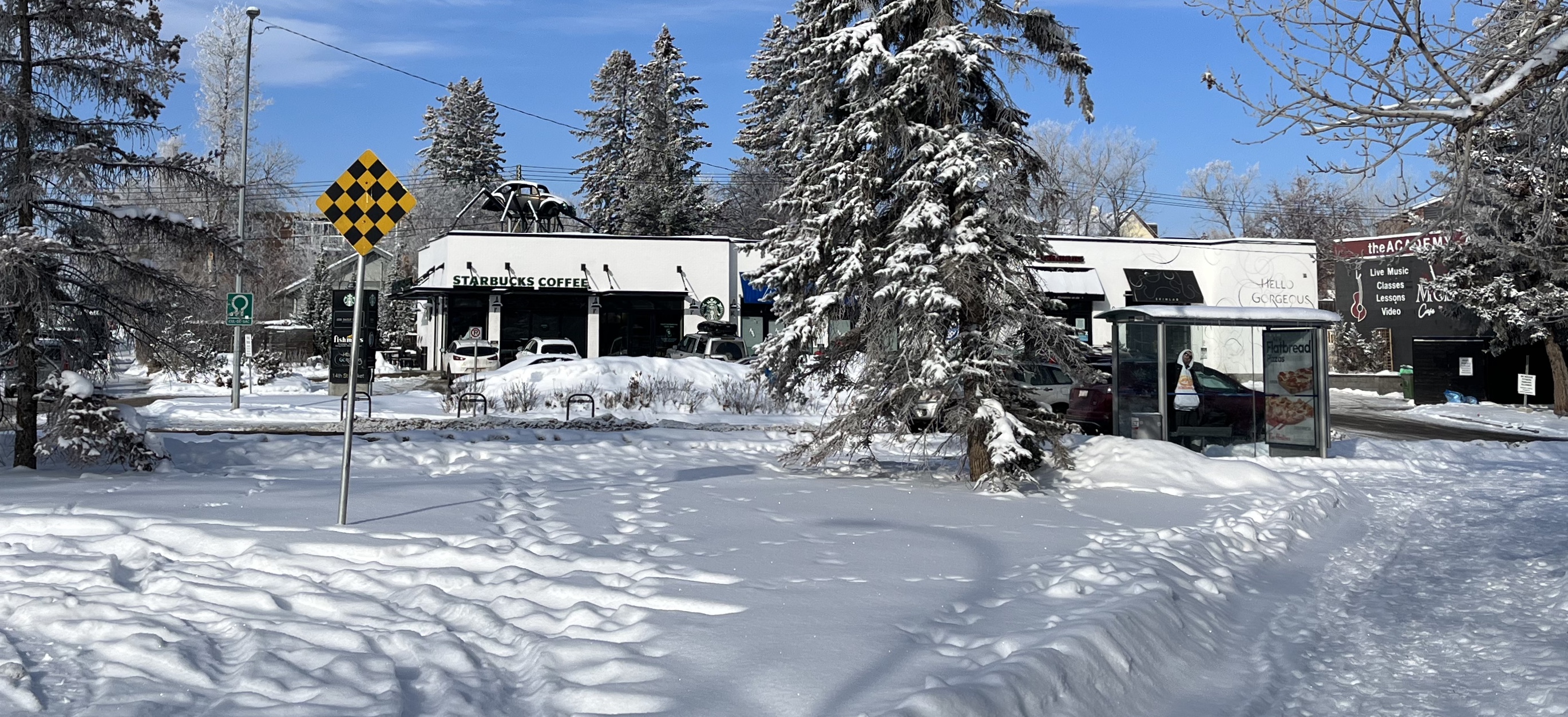 Urban hiking, walking tour, Mount Royal, explore, Calgary