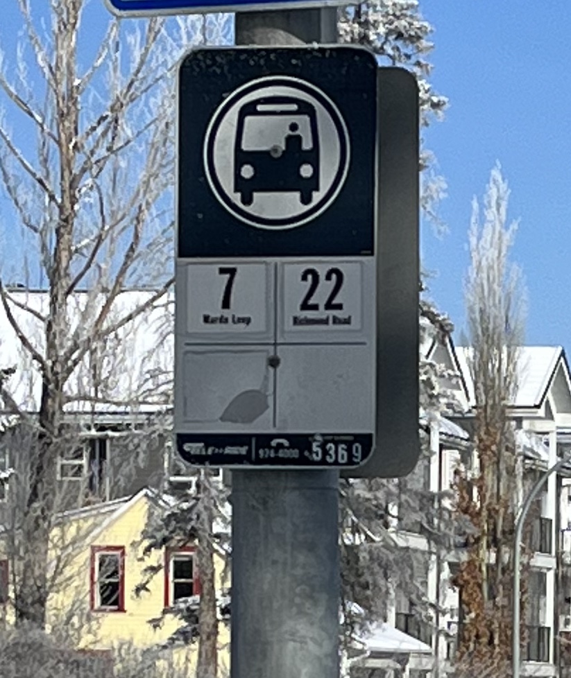 Urban hiking, explore, Mount Royal, walking tour