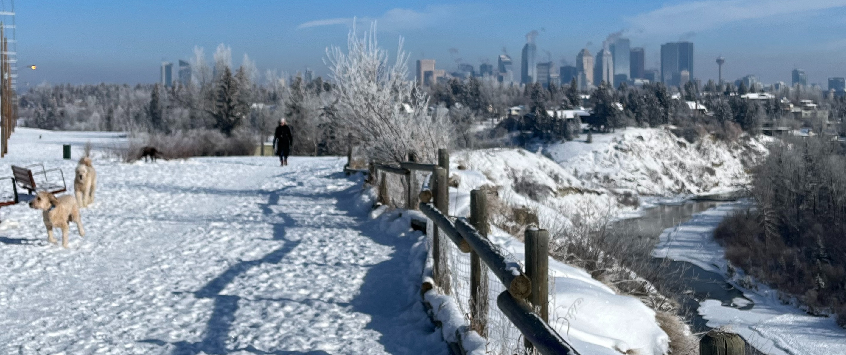 Urban hiking, walk, dog, explore