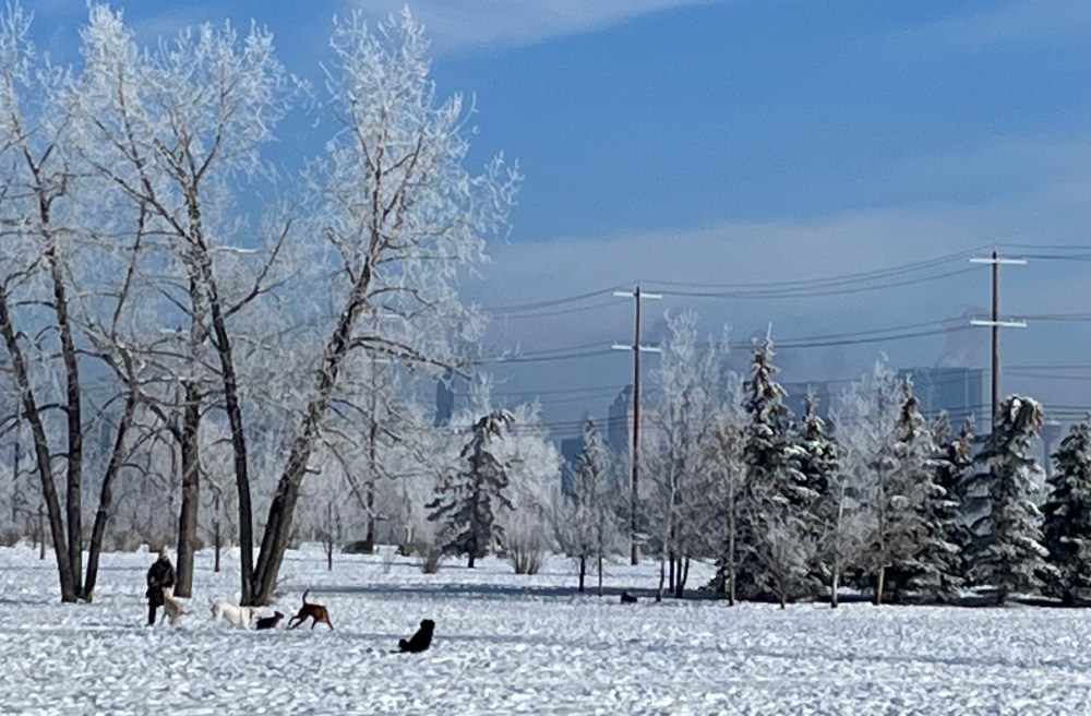 Urban hiking, walk, dog, explore