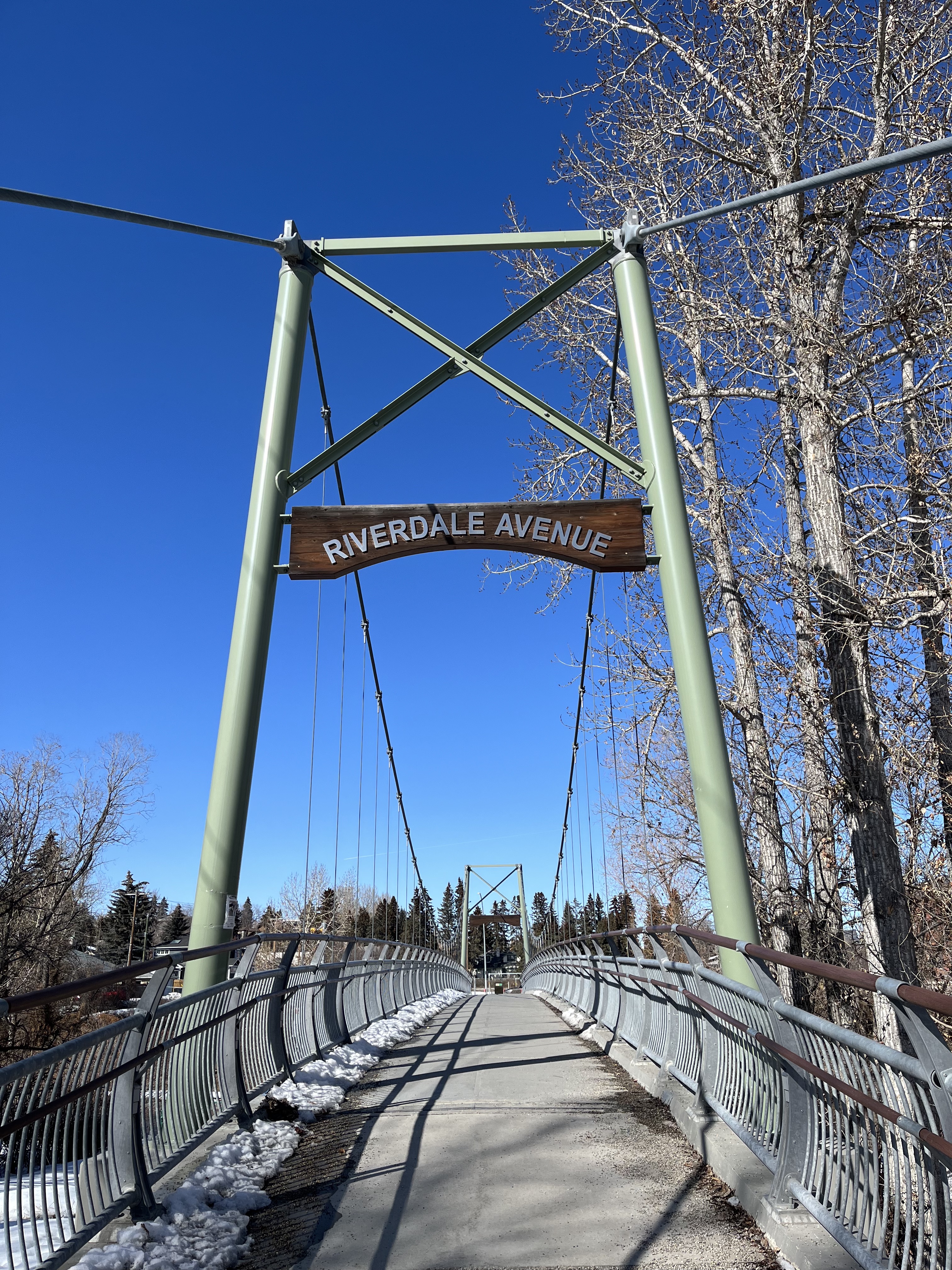 Urban hiking, explore, dog, walk