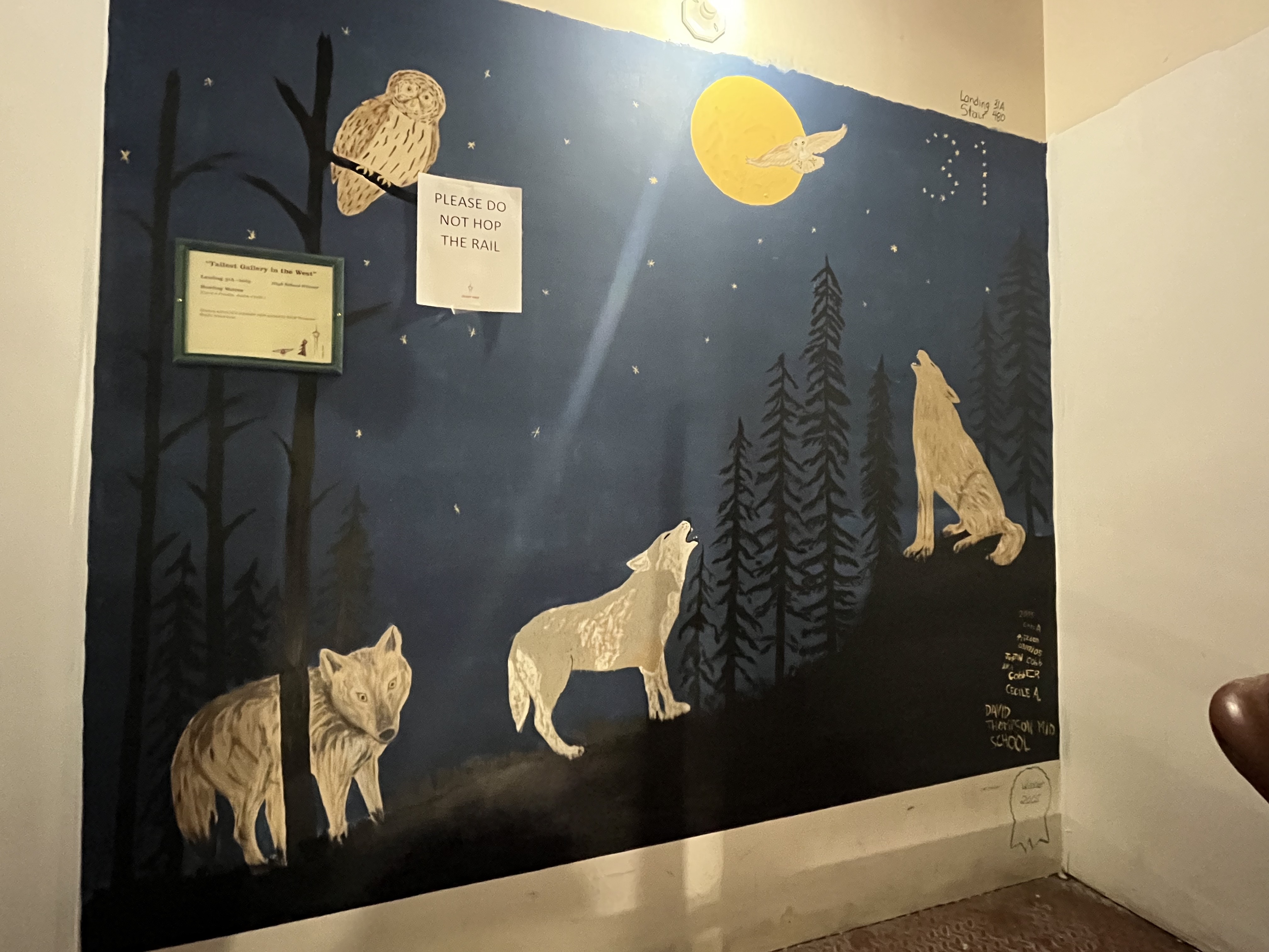 Stairs, urban hiking, 802 Challenge, Alberta Wilderness Association