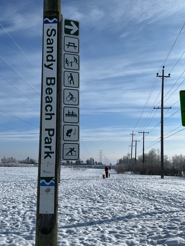 Urban hiking, walk, dog, explore