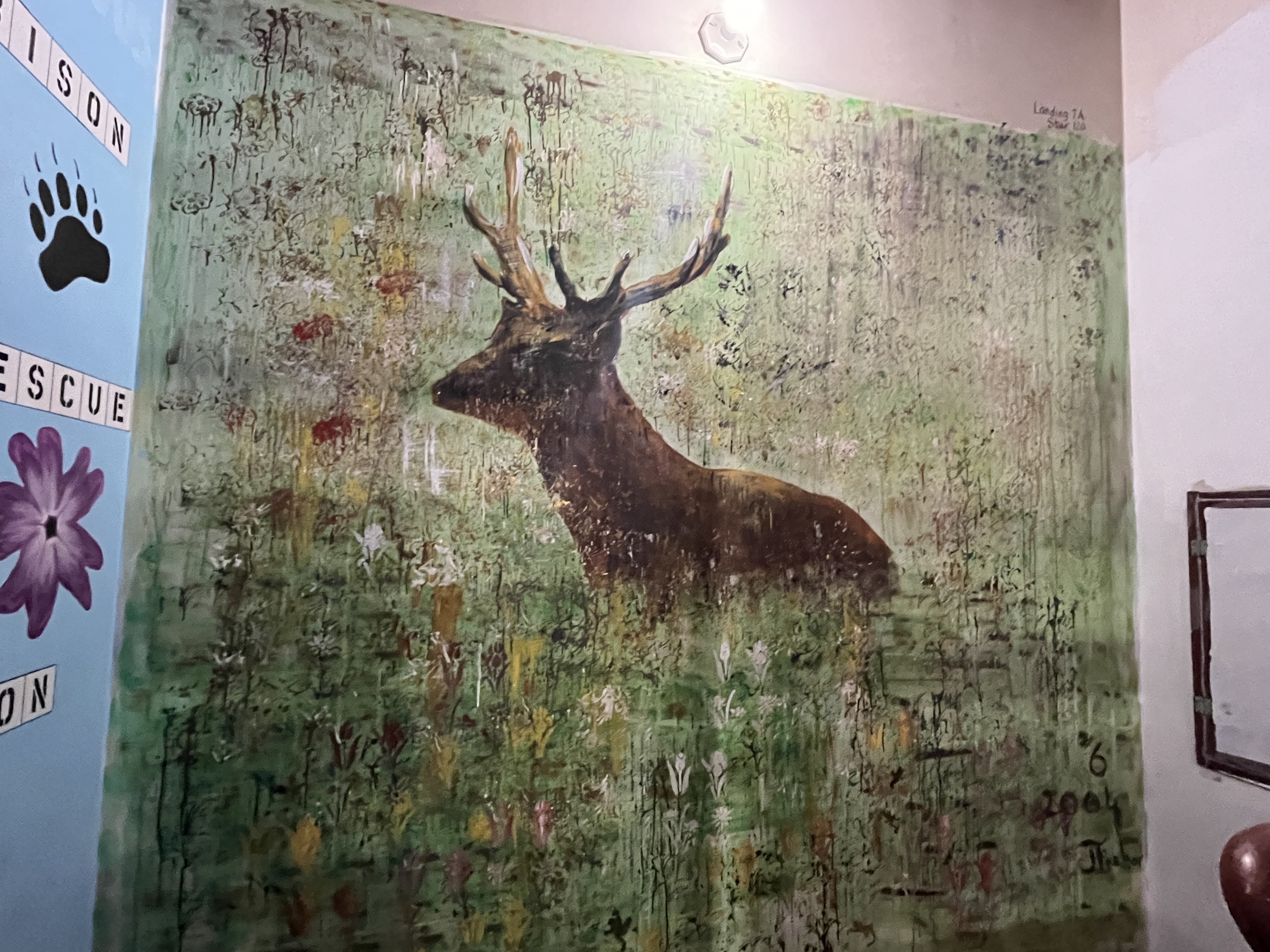 Fitness, stairs, urban hiking, 802 Challenge, Alberta Wilderness Association