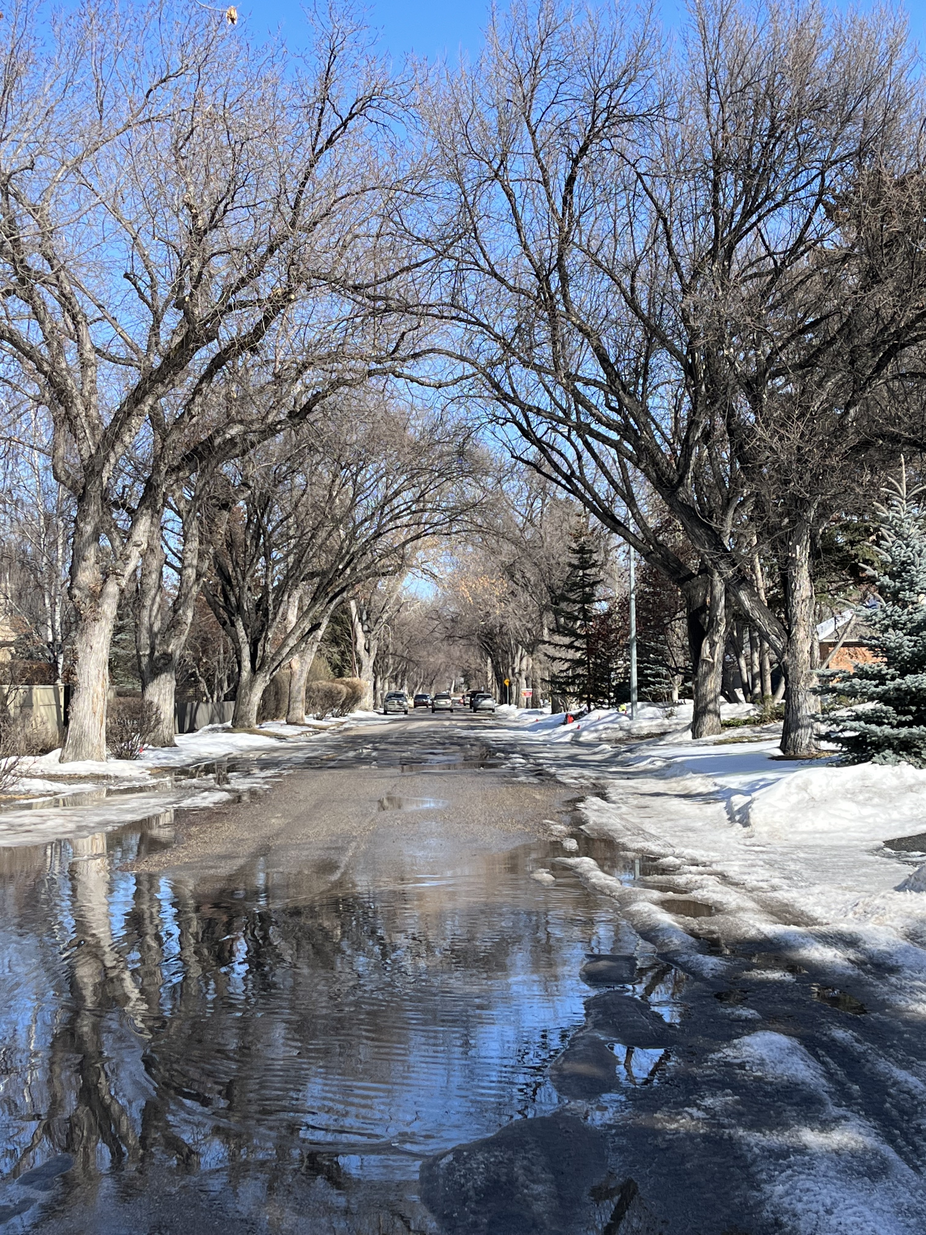 Urban hiking, explore, dog, walk