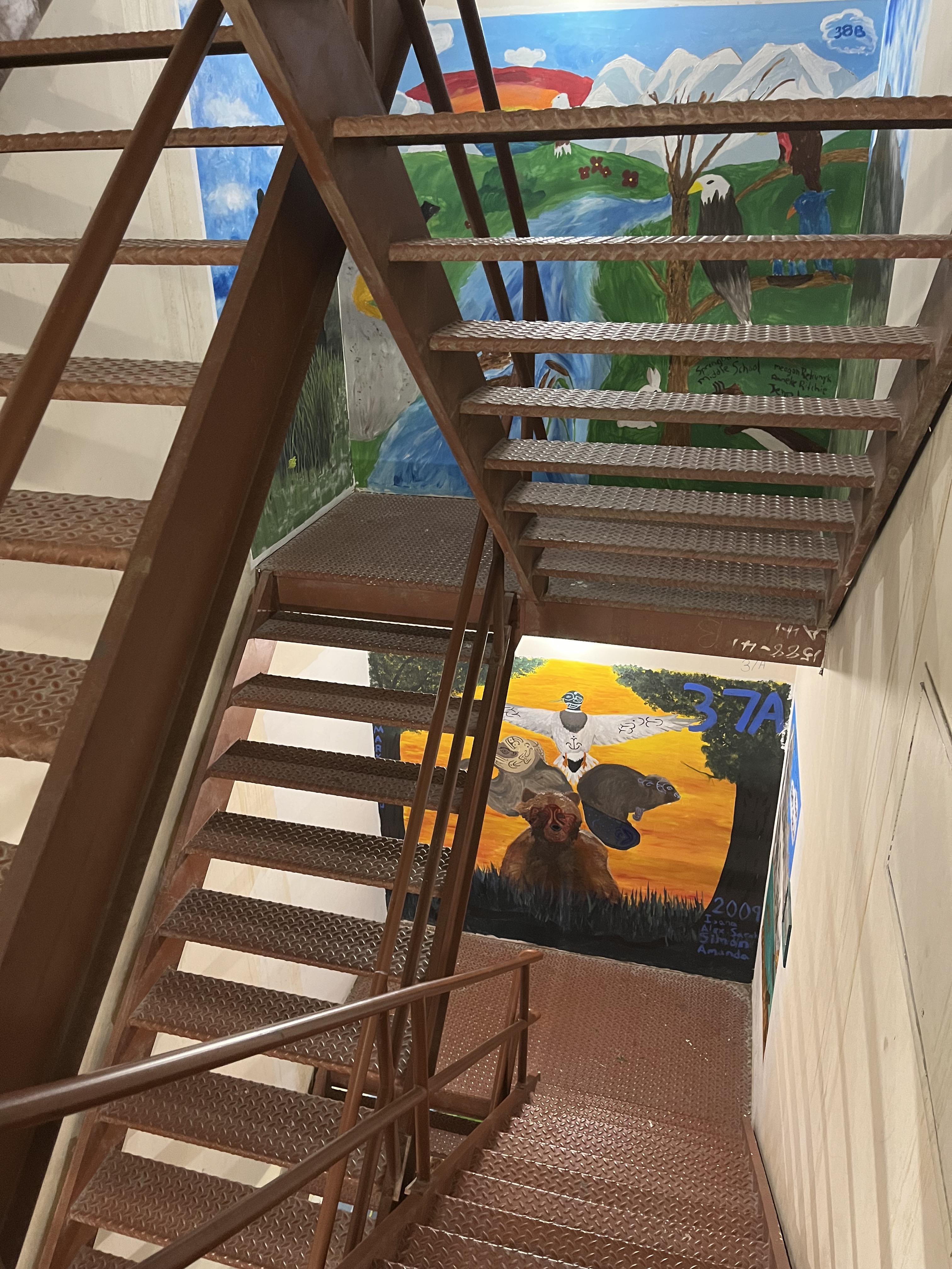 fitness, stairs, urban hiking, 802 Challenge