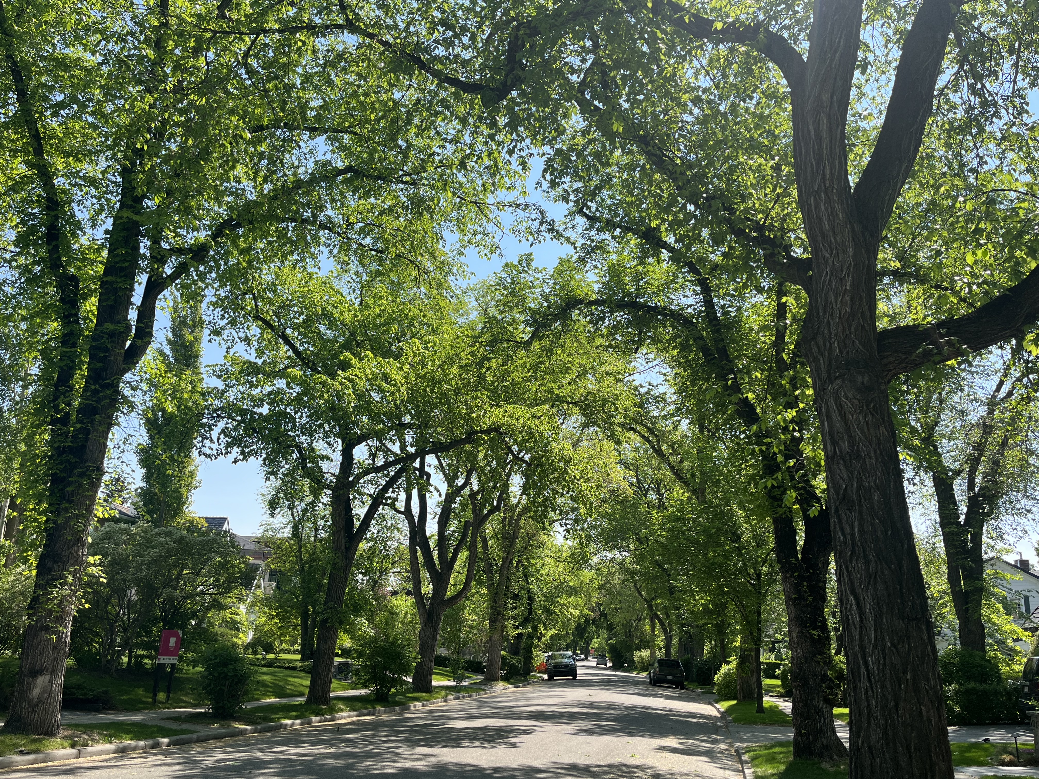 walk, urban hike, 5K, Best, tour, tourism, history