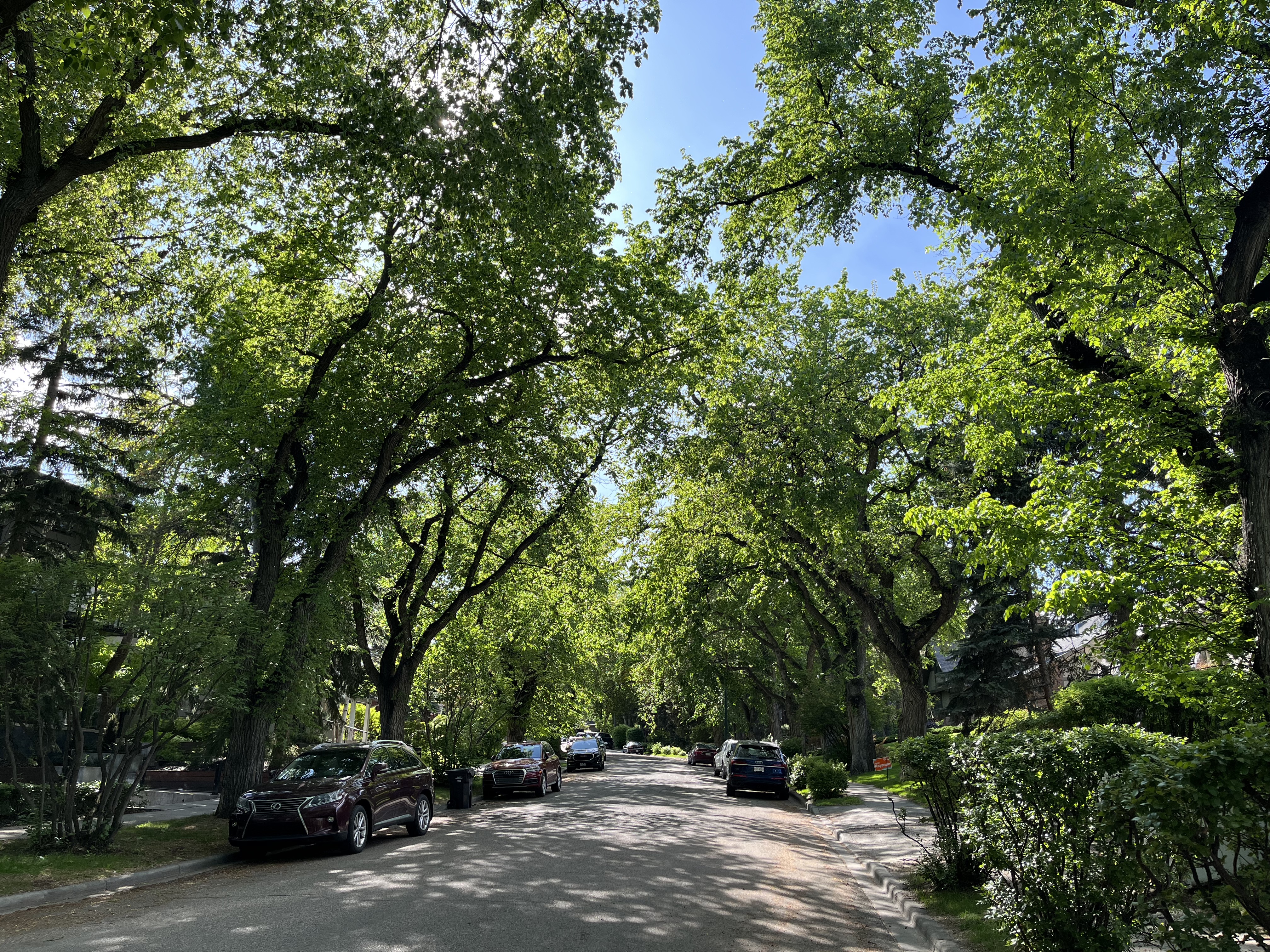 walk, urban hike, 5K, Best, tour, tourism, history