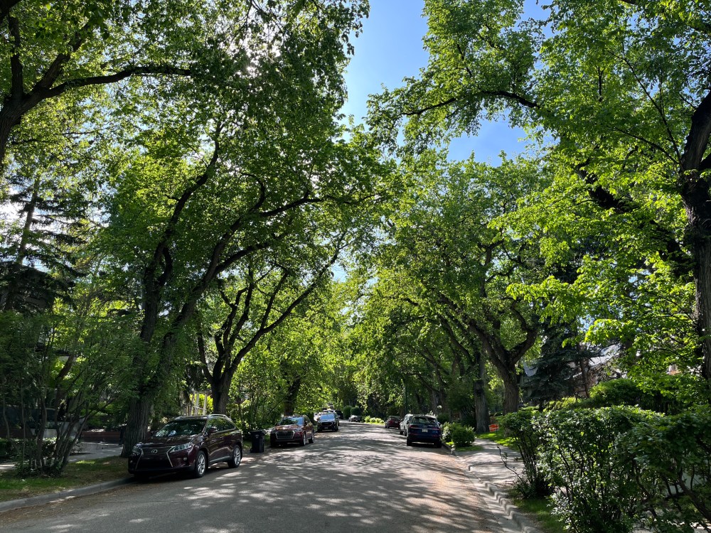 walk, urban hike, 5K, Best, tour, tourism, history