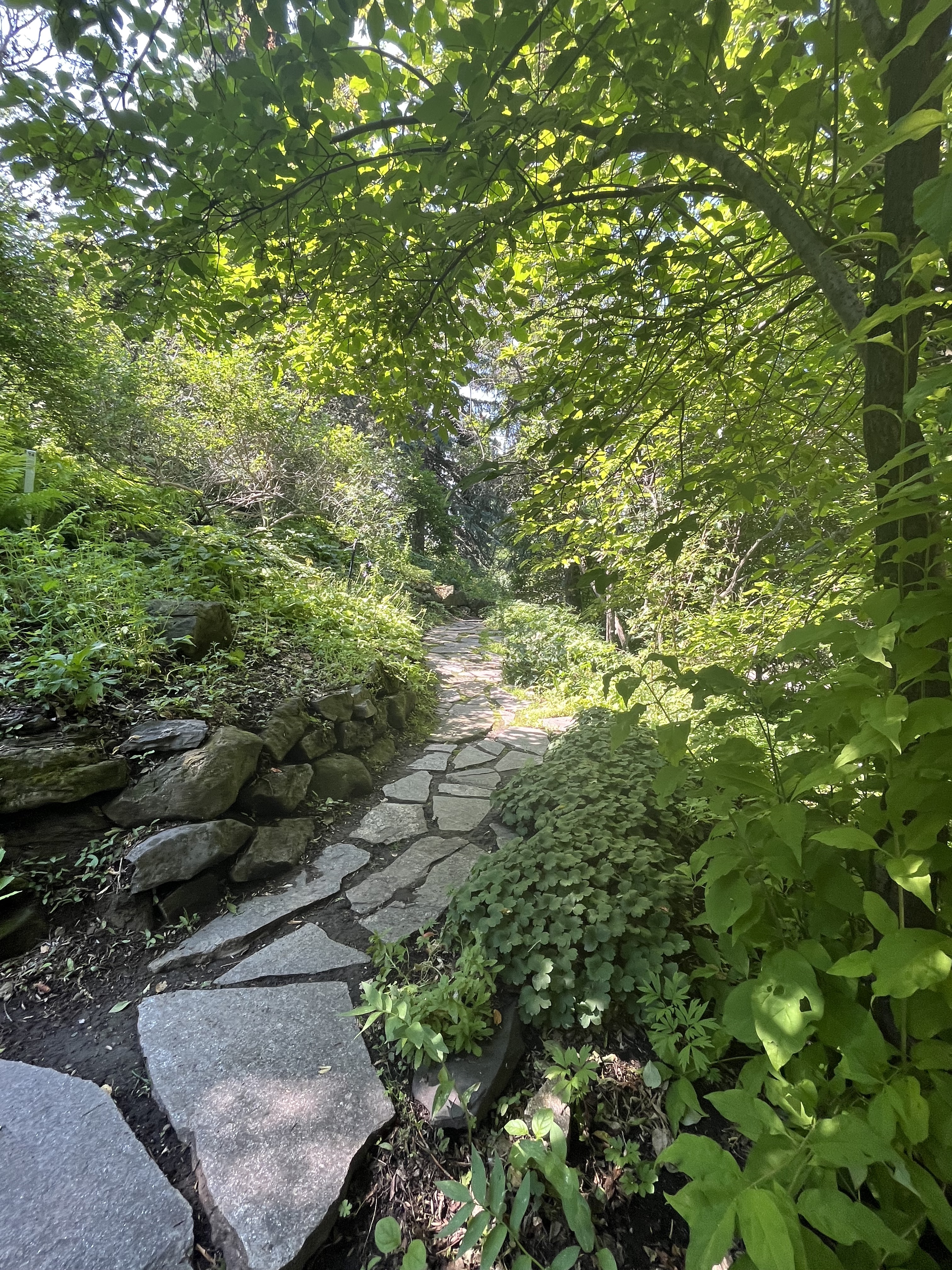 Calgary, urban, exploring, park, cemetery,