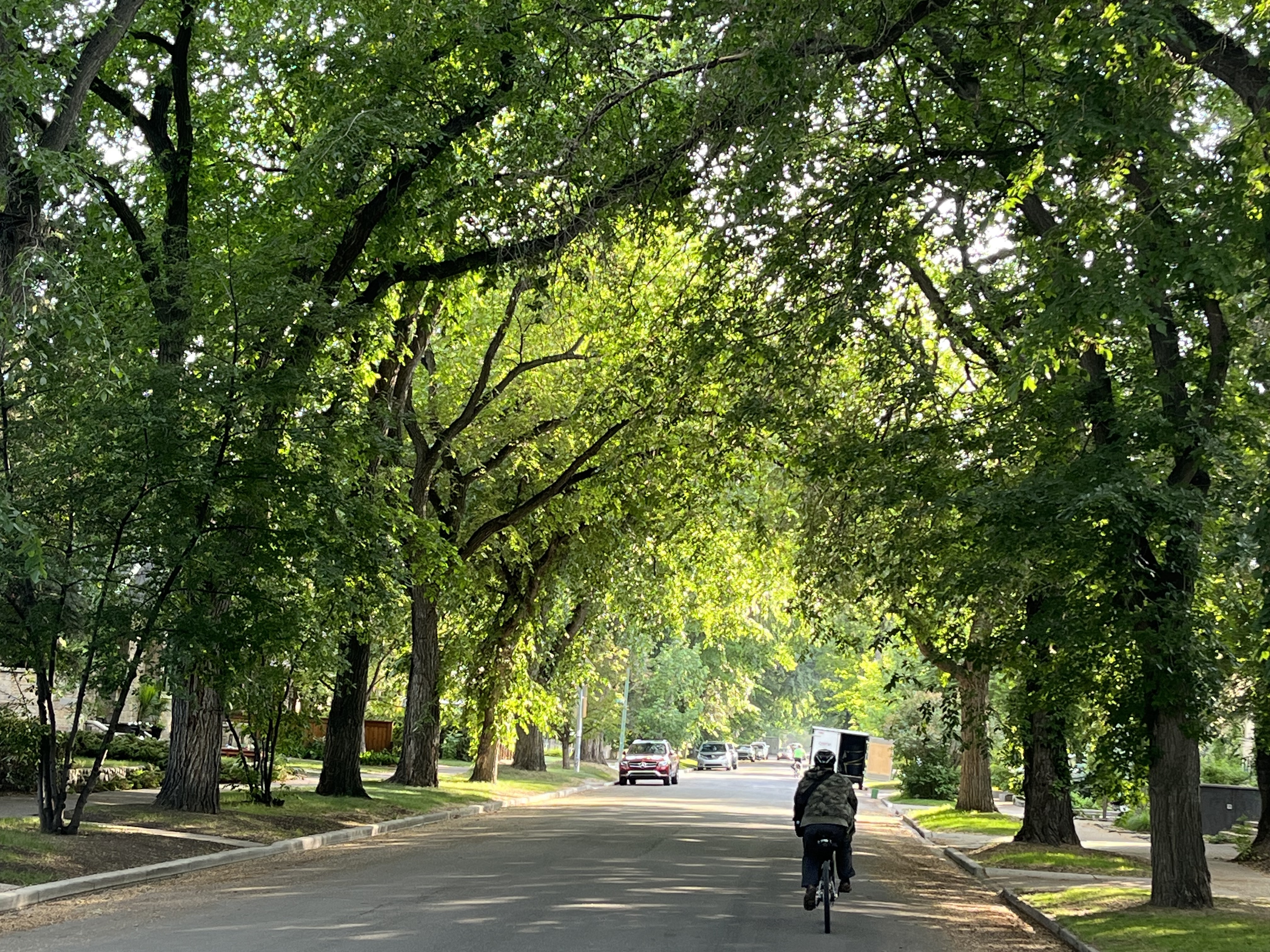 urban, exploring, Calgary, bike, hike, guide