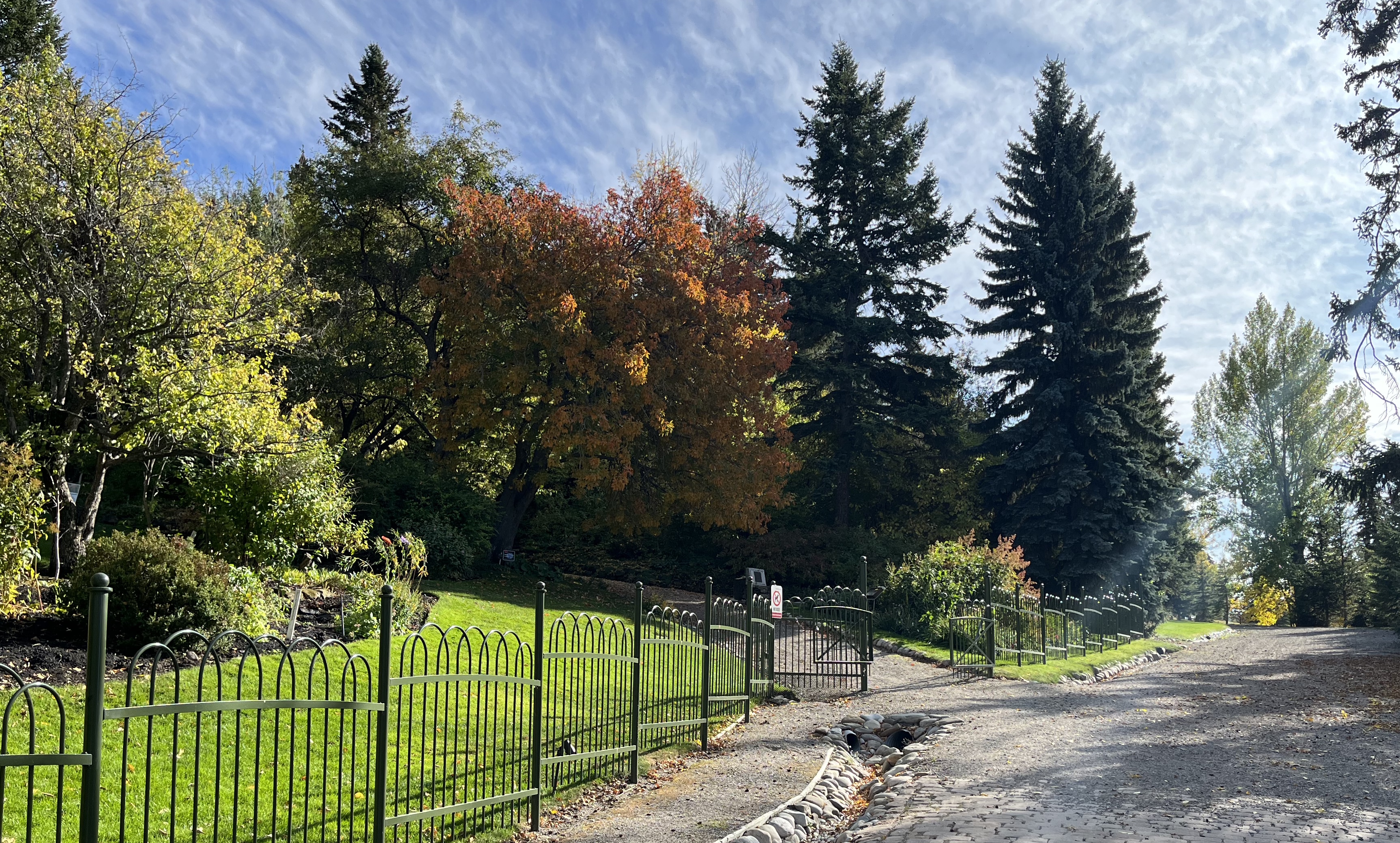 Calgary, urban, exploring, park, cemetery