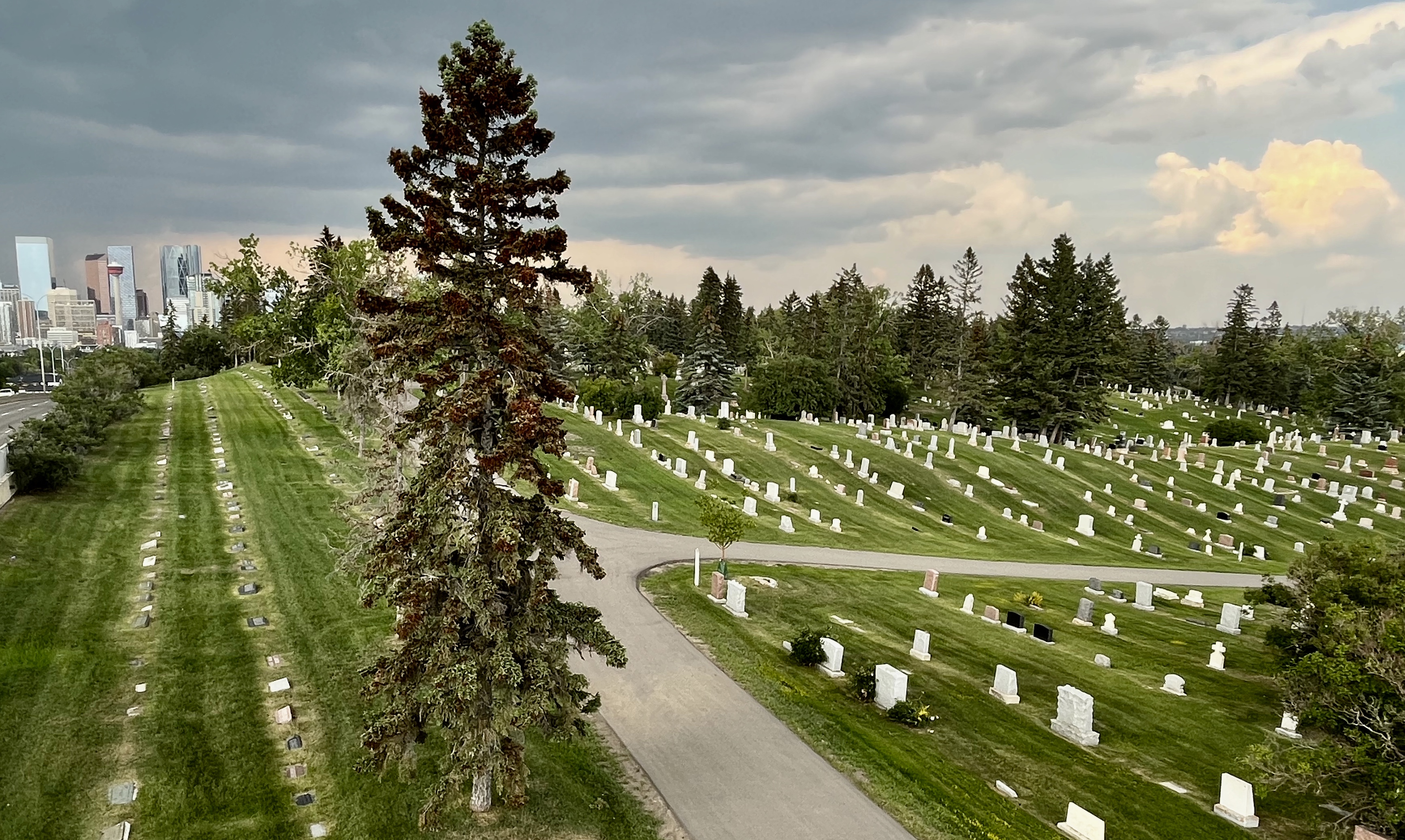 Calgary, urban, exploring, park, cemetery,