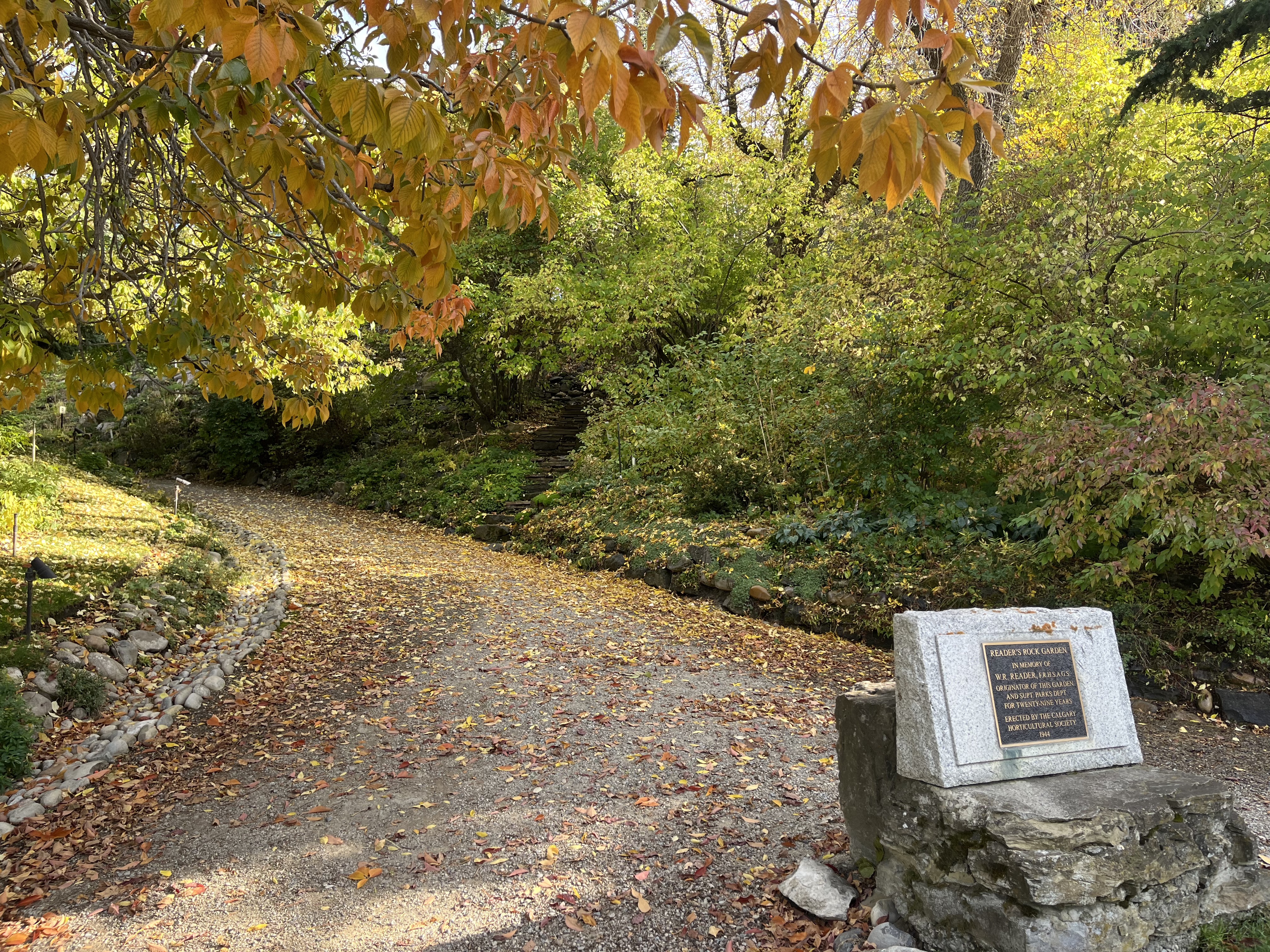 Calgary, urban, exploring, park, cemetery