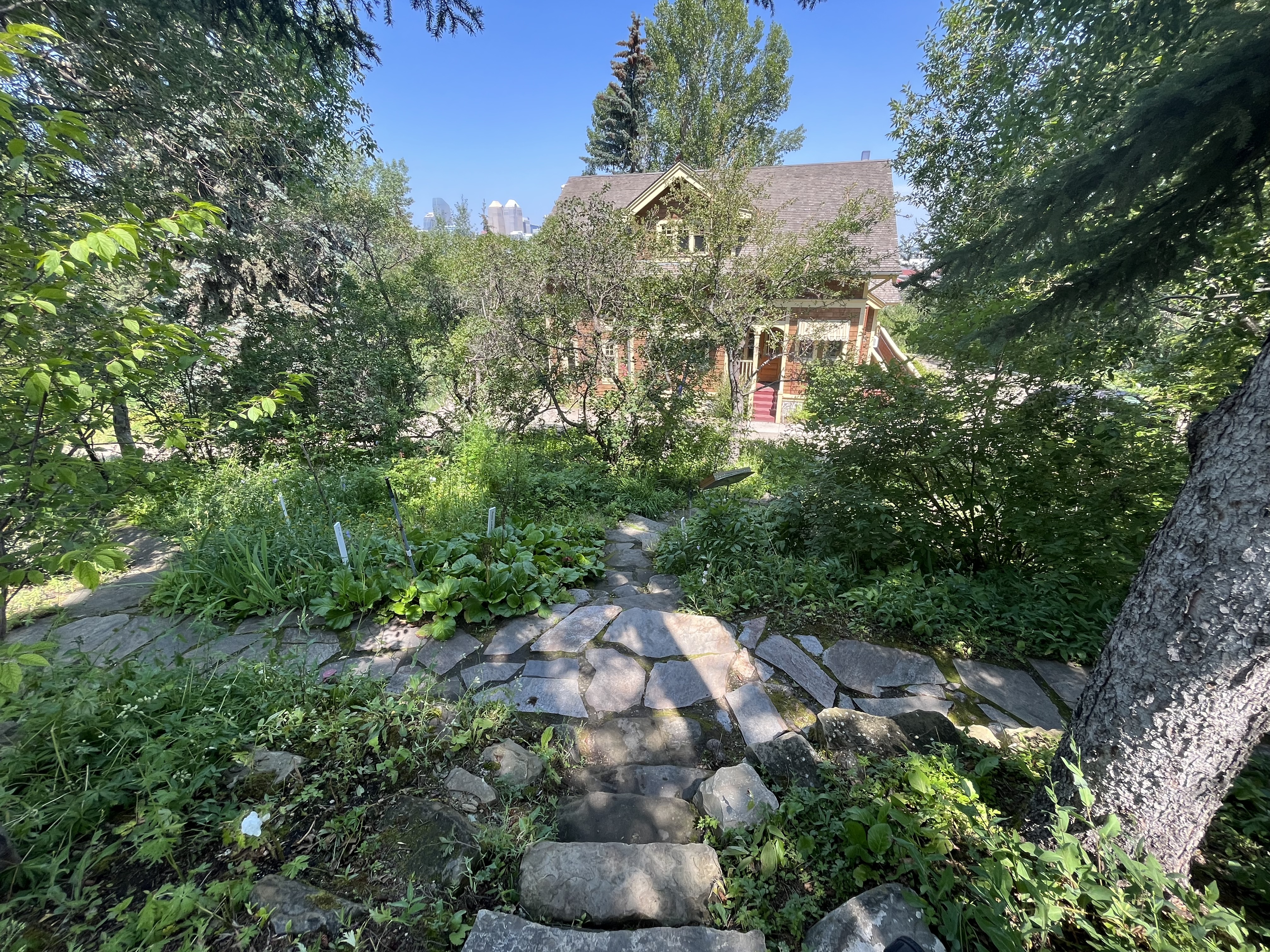 Calgary, urban, exploring, park, cemetery,