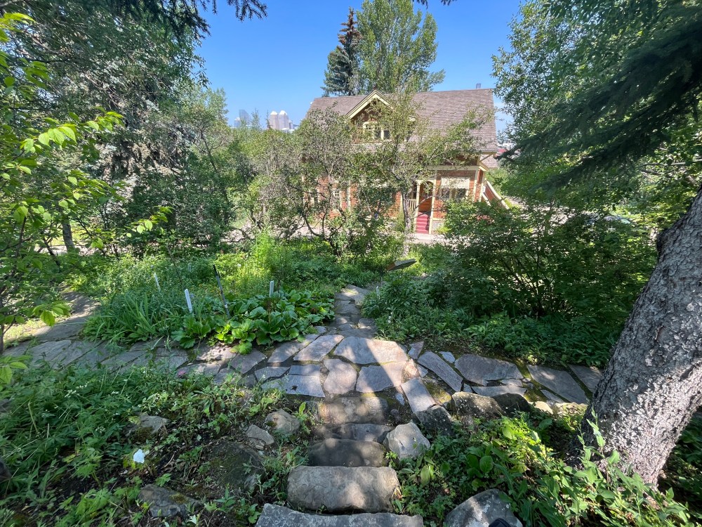 Calgary, urban, exploring, park, cemetery,