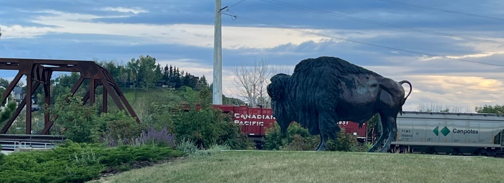 Bison outside Fort Calgary with CPR train heading to Inglewood in Calgary