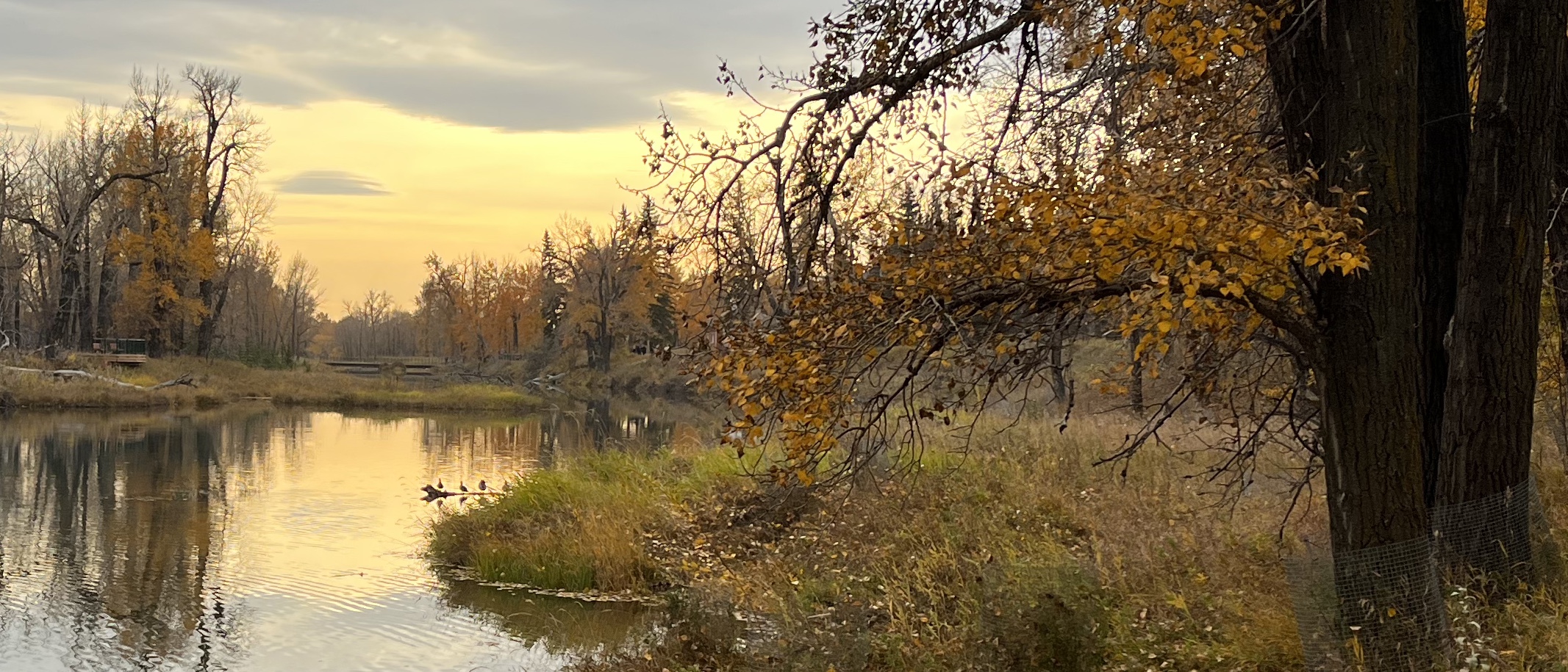 Inglewood, Sanctuary, hiking, Calgary, Bend in the Bow, biking