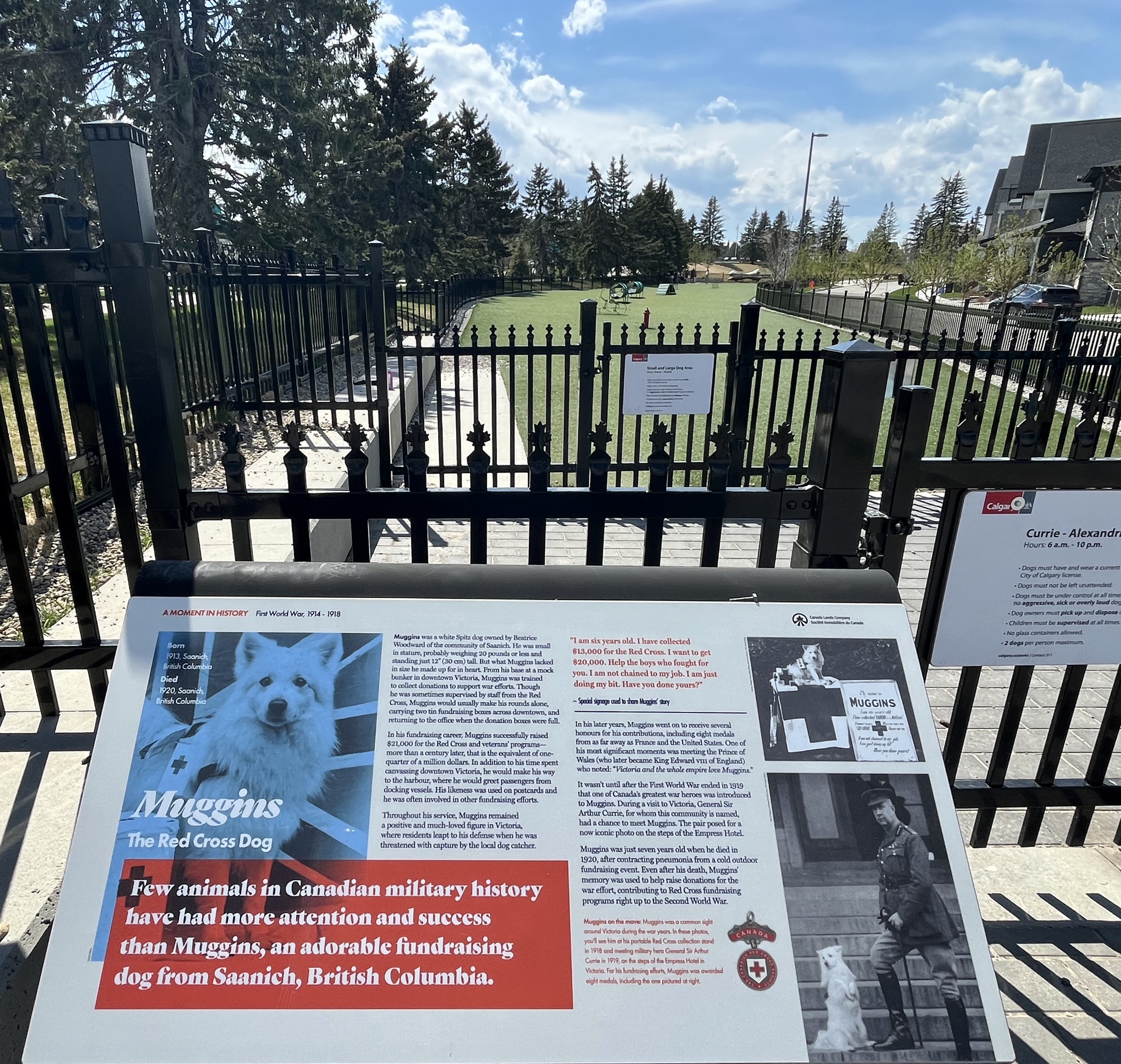 urban, walk, guide, tour, explore, military,