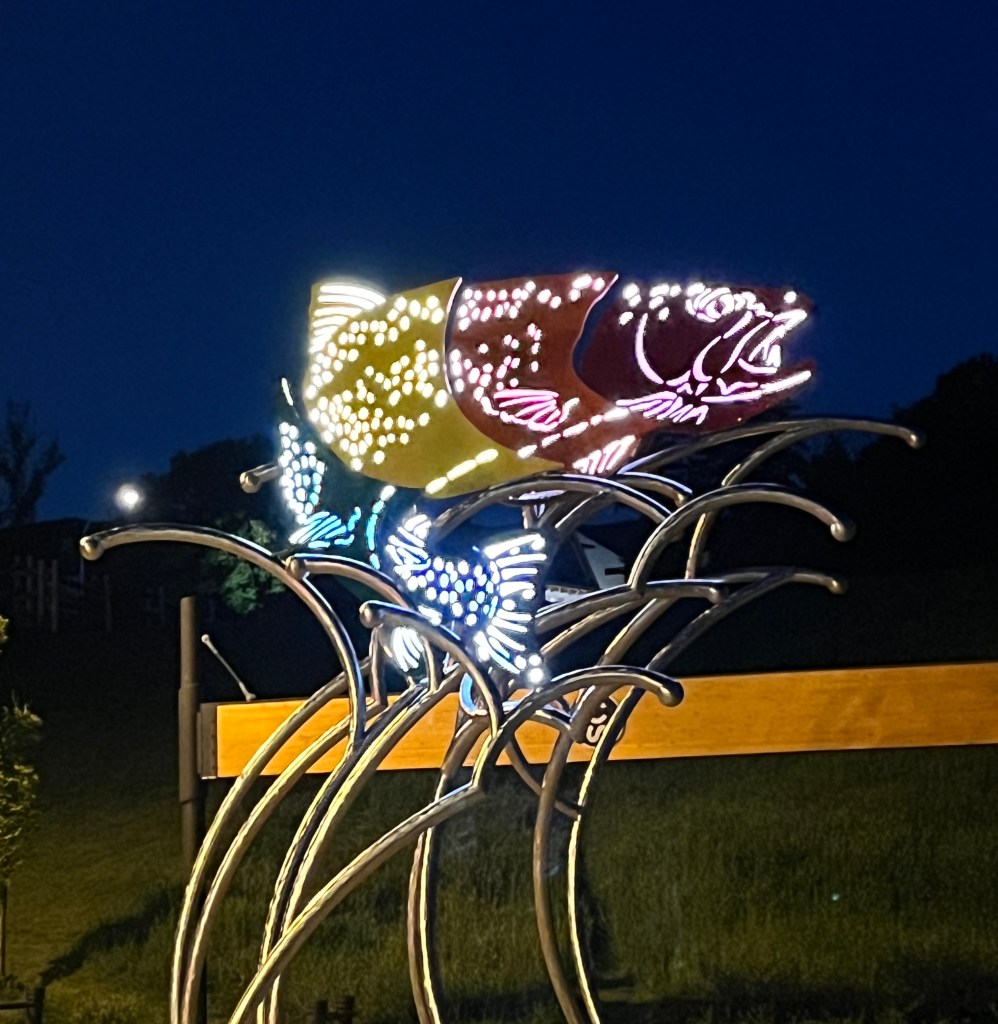Public art installation-Rainbow Trout at entrance to ENMAX Park